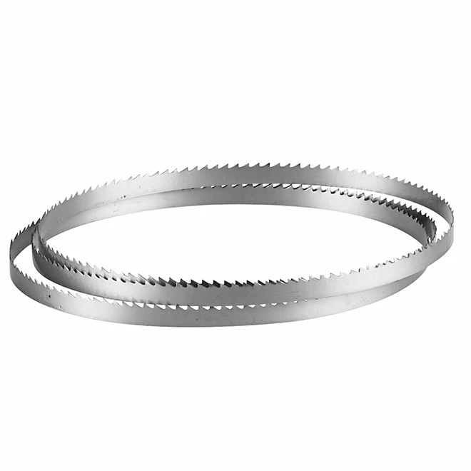 Bosch Wood-Cutting Stationary Band Saw Blade - 62-in L x 1/4-in W x 1/8-in T - 6-TPI - Carbon Steel 1 Bosch Wood-Cutting Stationary Band Saw Blade - 62-in L x 1/4-in W x 1/8-in T - 6-TPI - Carbon Steel