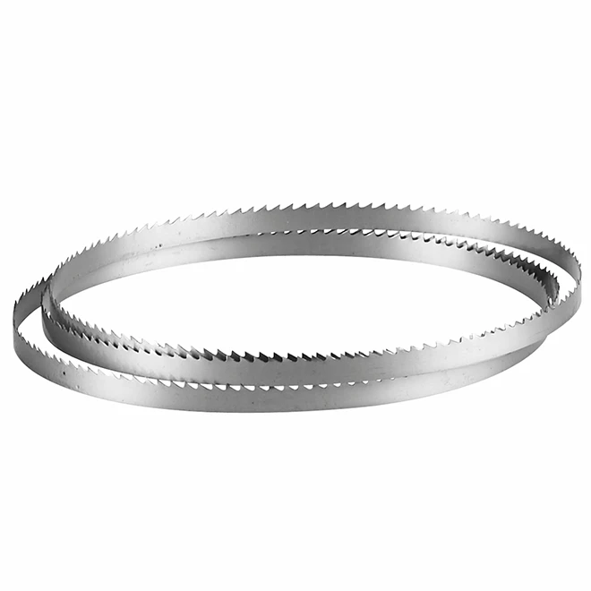 Bosch Heavy-Duty Stationary Band Saw Blade - 3/8-in W x 59 1/2-in L x 1/64-in T - 6-TPI - Steel 1 Bosch Heavy-Duty Stationary Band Saw Blade - 3/8-in W x 59 1/2-in L x 1/64-in T - 6-TPI - Steel