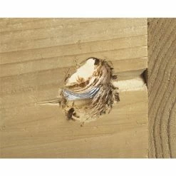 Bosch Nail Strike Wood-Boring Bit Set - 6 Pieces -Bosch Tools Sales 2022 330746793 AlternateImage2 l